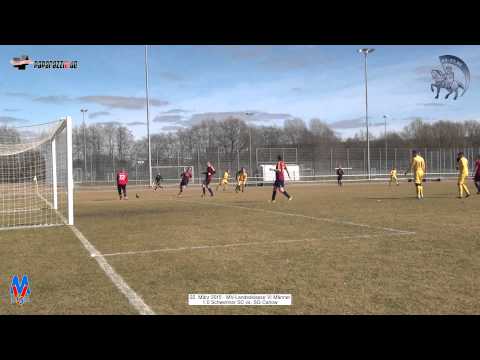 1:0 Schweriner SC vs. SG Carlow - 22.3.2015