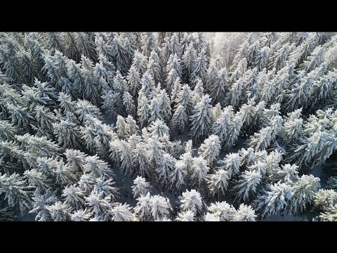 Randonnée Aubrac Laguiole