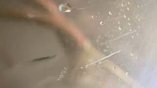 Aquanife Restomate Sandstrahlger&auml;t | Bild 4 - Machineryline