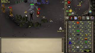 Hobgoblins cannon setup (Two accounts)