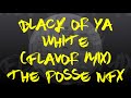 Black Or Ya White Flavor Mix The Posse NFX DJ 1000ton Cesar 2020