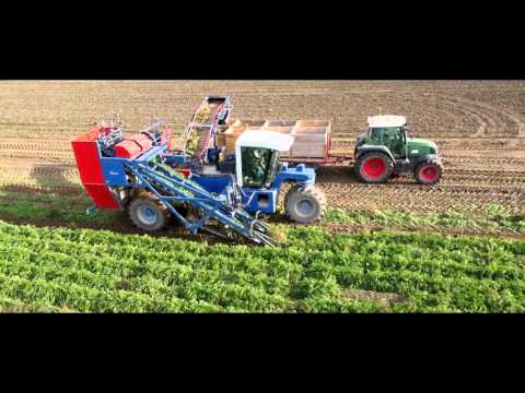 Sezon 2015 z lotu ptaka