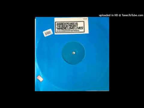 Andrew Pearce Vs. The Reese Project = Where Love Lives (Serial Diva Remix 1) {1996}