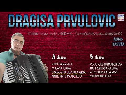 Dragisa Prvulovic -  Vlaske pesme CEO ALBUM // MuzikaUzivo019