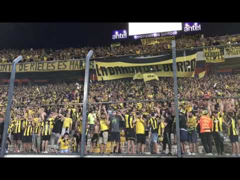 "Hinchada de Peñarol - Despacito - Campeón del Siglo" Barra: Barra Amsterdam &bull; Club: Peñarol