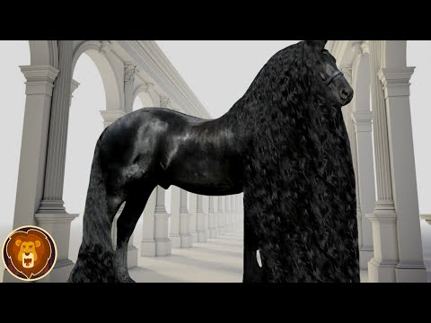 , title : 'Die 15 schönsten Pferde auf dem Planeten Erde'