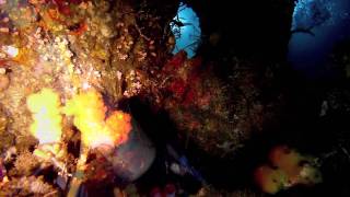 preview picture of video 'USAT Liberty wreck  Swim through #3 Tulamben Bali Indonesia'