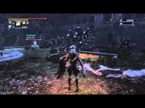 Bloodborne - Sonic the Hedgehog glitches and dies