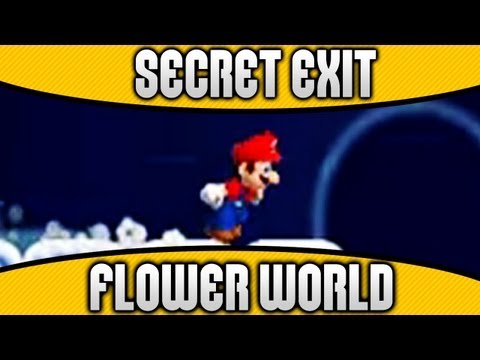 New Super Mario Bros. 2 - World 3-Fortress Secret Exit & Unlock Flower World