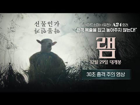 [램] 30초 충격 주의 영상