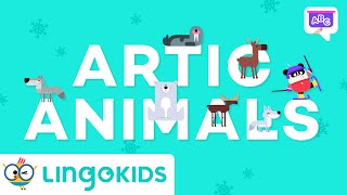 Arctic Animals for Kids 🐻‍❄️❄️ | VOCABULARY FOR KIDS | Lingokids gameplay video by Mgraves, 1:31 duration