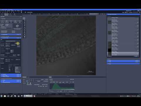 ZEN 2.1 bugs and missing features. 7. Line select is made with settings from Acqusition mode