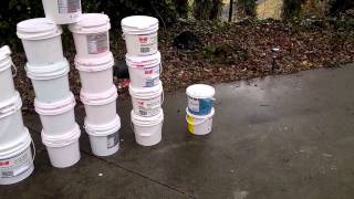 Dutch Bucket Hydroponics- Free buckets from local bakeries!