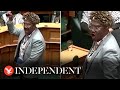 New Zealand Politician Performs Haka Before Making Oath To King Charles In Parliament