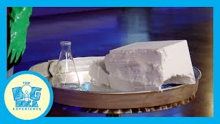 Thinking Big: Honesty