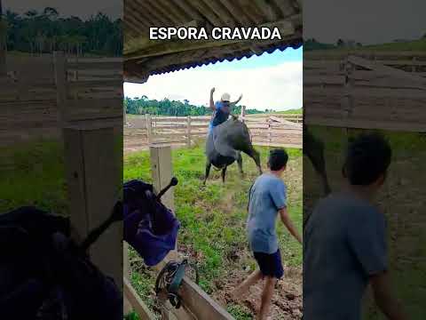 OU ELE ME PARA OU EU PARO ELE palavras do José Antônio do Acre.