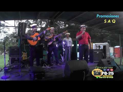 Torrente:     Mesano