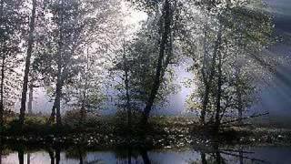 CAFE QUIJANO - CINCO LETRAS