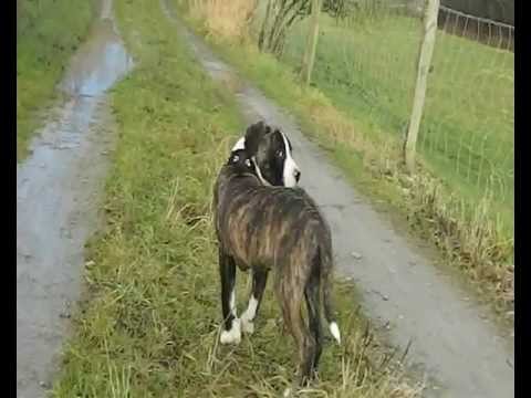 Welcome, her name is - MALOU ♥