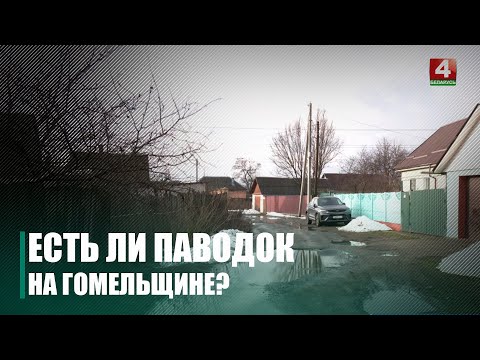 Корреспонденты ТРК «Гомель» проверили ситуацию с паводком под Гомелем видео