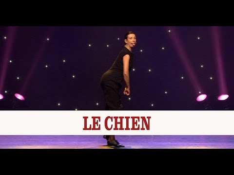 Virginie Hocq - Le chien