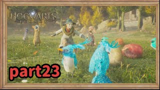 【ホグワーツレガシー】気分はすっかり密猟者な転校生part23