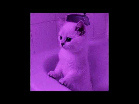 [FREE] SHUSTOV BEATS - smell (140 bpm) [HammAli & Navai x Ramil x Канги Type Beat]