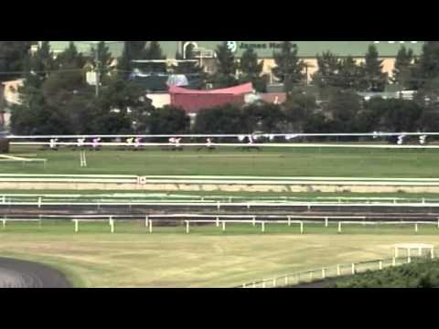 2004 Vinery Stud Stakes- Special Harmony