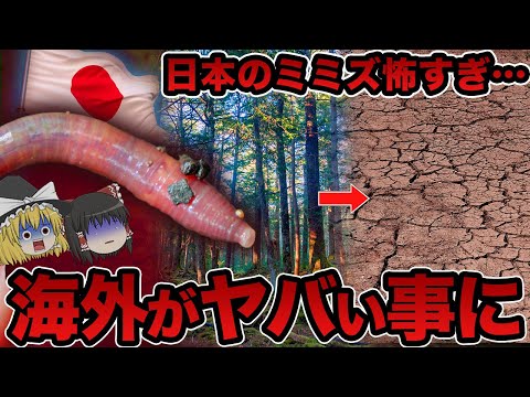 微胞子虫について詳しく解説