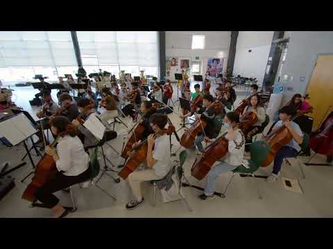 BSYO Concert Orchestra Winter Concert Preview