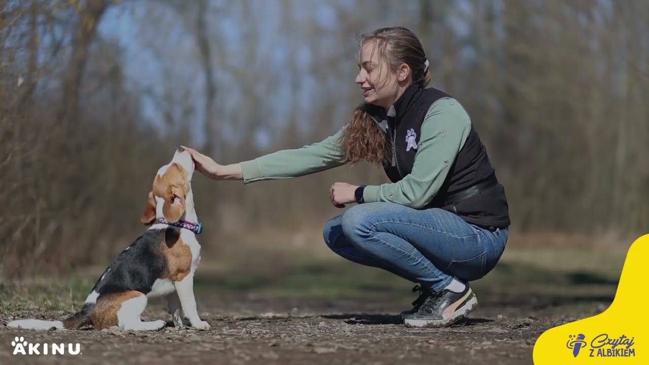 Jak nauczyć psa komendy „siad!”