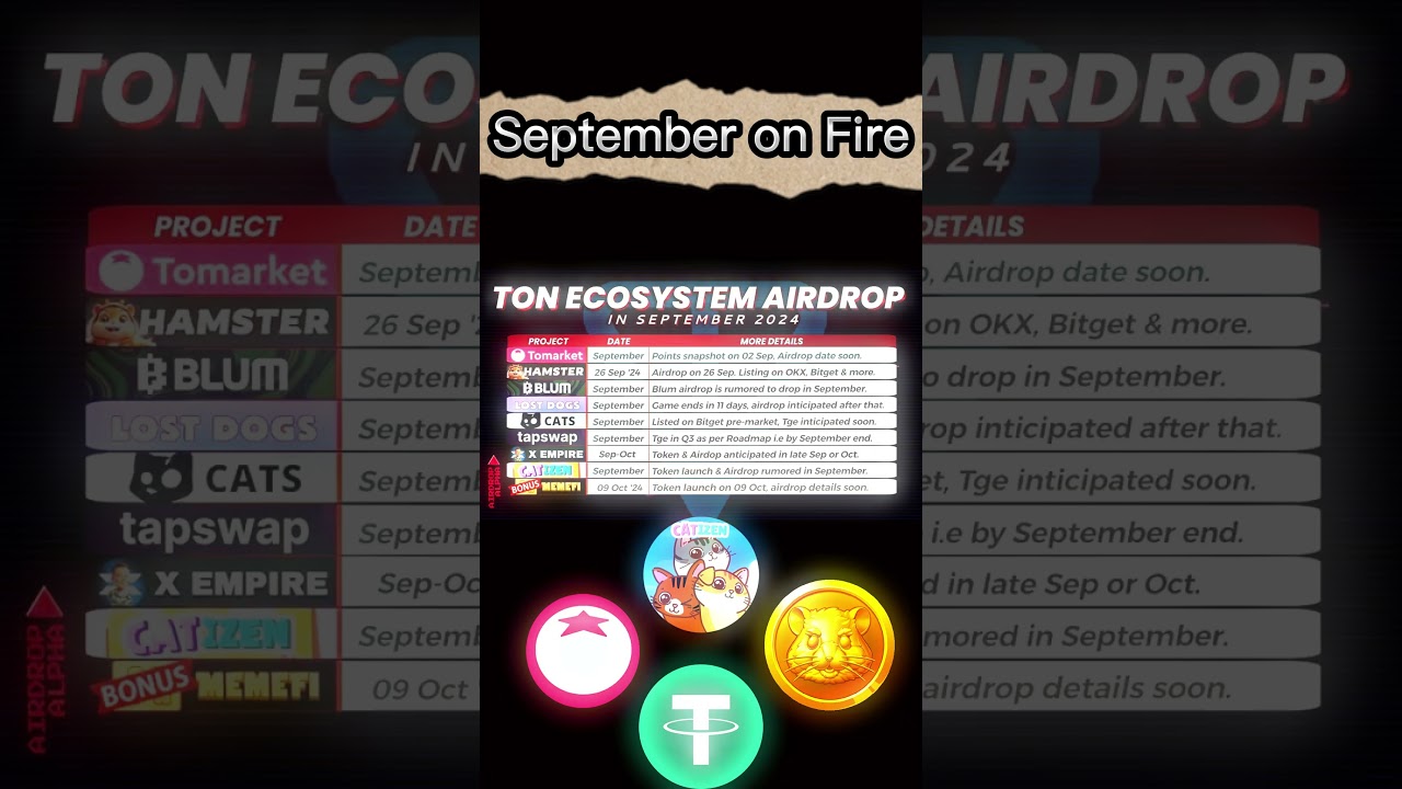 September the Airdrop Month 2024 #telegram #airdrop #catizen #blum #hamsterkombat