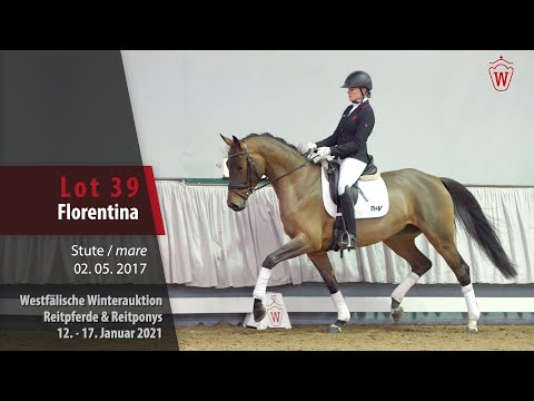 Winterauktion Reitpferde & Reitponys Lot 39 Florentina Stute v. Federico Fellini - Clay