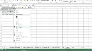 How to Change a Text to Display to a Hyperlink Address in Excel : MIcrosoft Excel Tips