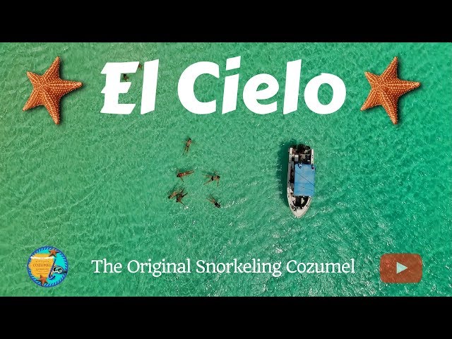Eco Tour "El Cielo" (long version) - The Original Snorkeling Cozumel