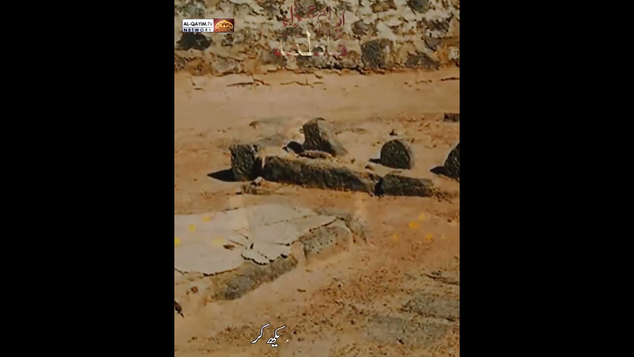 Hamara Dil Tadap Raha Hai || Madad Kare Ya Bibi Zehra || Raza Abbas Zaidi || Ayyam-e-Fatimiyah 2024