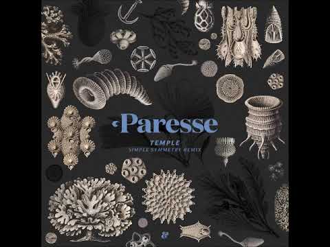 Paresse - Temple (Simple Symmetry remix)