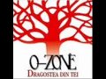 O - Zone - Dragostea din tei ( Numa Numa ) 