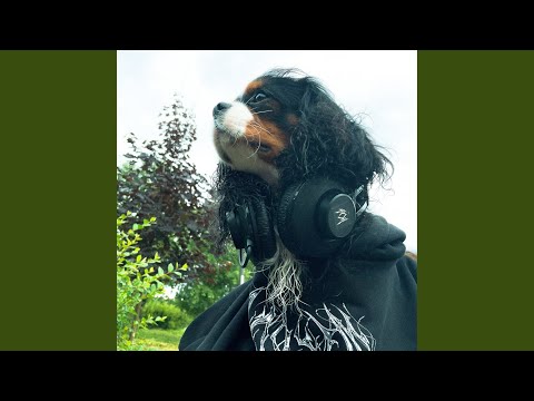 Video thumbnail for Мы с тобой собаки (We Are Dogs)