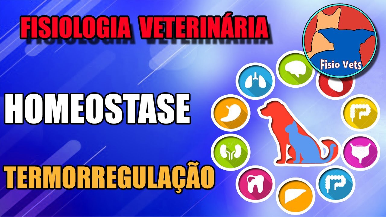Homeostase - Termorregulação - Fisiologia veterinária