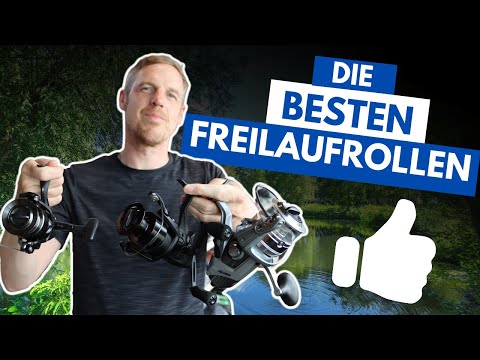 Die besten Freilaufrollen für jeden Geldbeutel! 👍 | Okuma Rollen