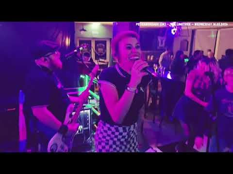 #011 LOS FASTIDIOS live @ The Limetree - Peterborough (UK) 18.02.2026 (Tourdiary)