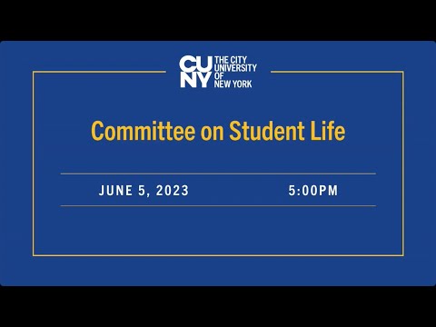 Rachel Pincus youtube video #2