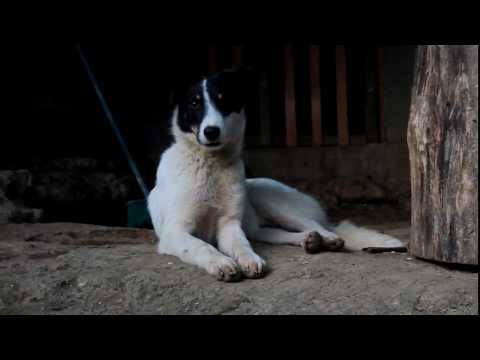 MARIMBA PRIMAVERA  TROPICAL vol 5  Recuerdos de la Antigüedad