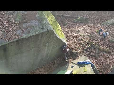 Madame Rêve- Médonnet