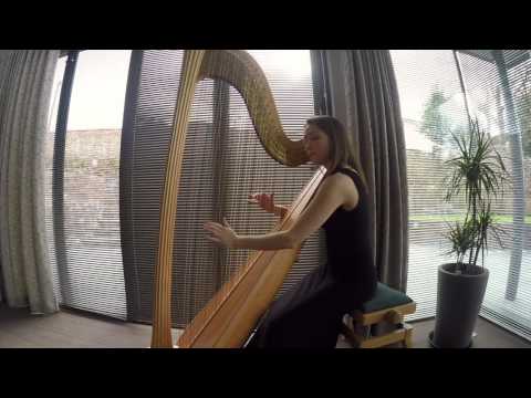 Can't Help Falling in Love- Elinor Nicholson Harp