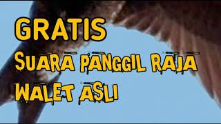 Download lagu Gratis Suara Panggil Raja Walet Asli (SUARA PANGGIL WALET) mp3