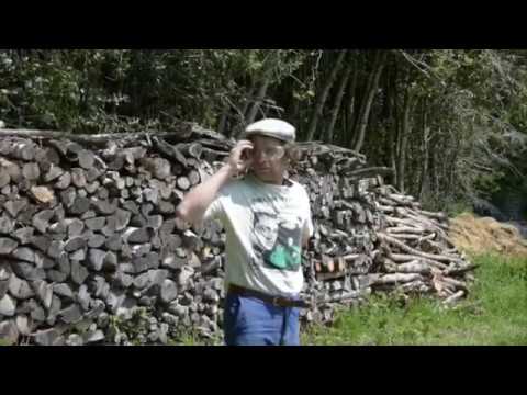 Videoclip de J'attends Mylène — Mickey 3D