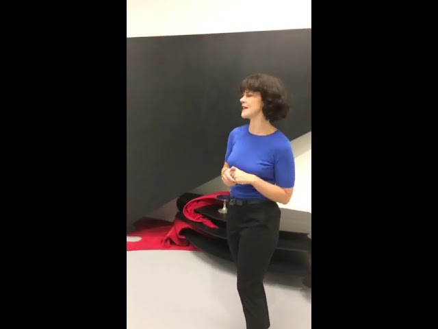 <p>Facebook Live on &#39;The Kiss&#39;, 1986 by Lili Dujourie and &#39;Abraham Grapheus&#39;, 1620 by Cornelis De Vos.</p>
