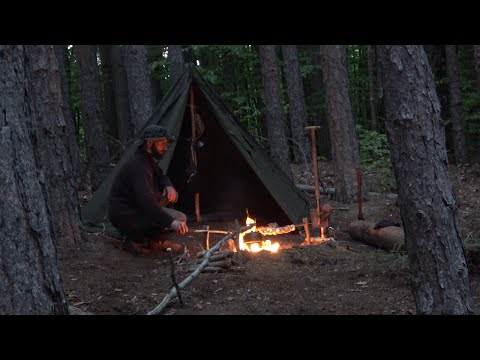 2 DAYS ALONE IN THE FOREST, SOLO BUSHCRAFT TRIP-OVERNIGHT IN A CANVAS POLISH LAVVU TENT!!